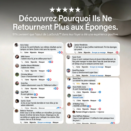 LuxScrub™ L'éponge qui ne raye pas (et ne pue jamais)