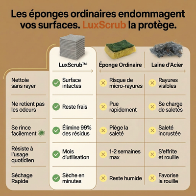 LuxScrub™ L'éponge qui ne raye pas (et ne pue jamais)