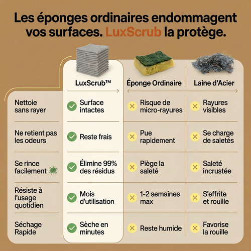 LuxScrub™ L'éponge qui ne raye pas (et ne pue jamais)